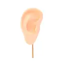 07724-1-Soporte-exhibidor-oreja-en-silicona.webp