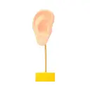 Soporte exhibidor oreja en silicona 14.5x4cm x und