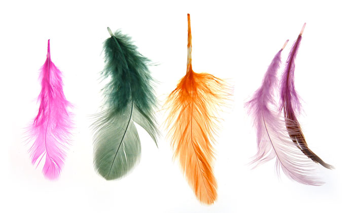 plunas de colores pequena x und