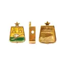 Separador escudo atletico bucaramanga 13mm/golfi x und