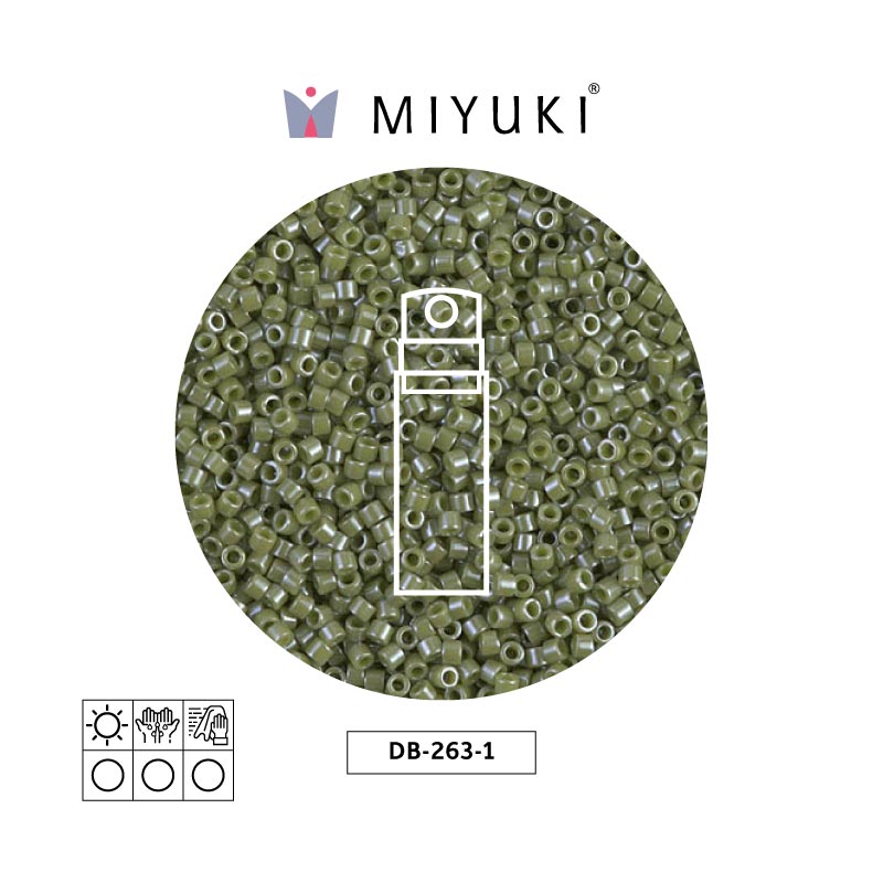 Miyuki delica 11/0 DB0263-1 opaco cactus lusterr x 10g