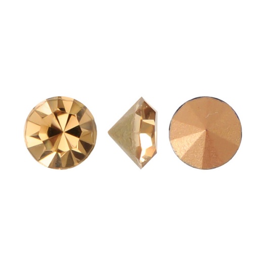 [21273] MC chaton Lian golden amber PP14 x gruesa