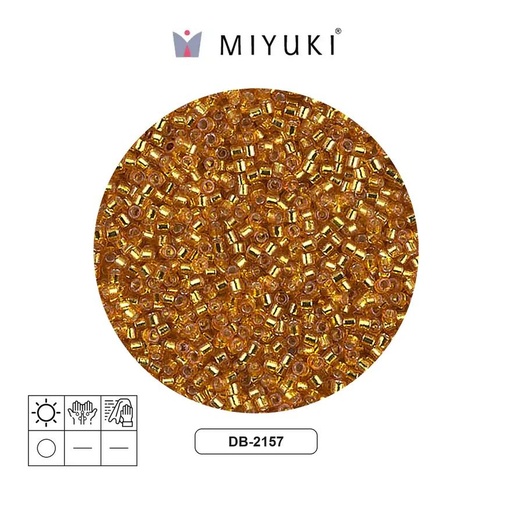 [02979] Miyuki delica 11/0 DB2157 silver lined orange sherbet x 2G