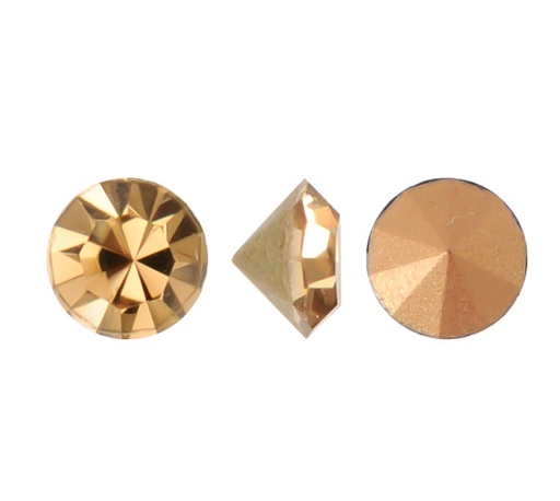 [00046] MC chaton Lian golden amber PP8 x gruesa