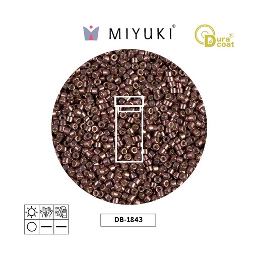 [31805] Miyuki delica 11/0 DB1843 galvanizado claro copper x 3g