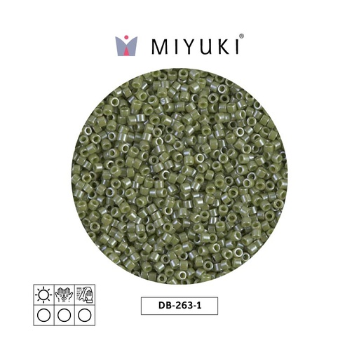 [25669] Miyuki delica 11/0 DB0263-1 opaque cacuts luster x 50g