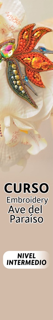 Curso de embroidery Ave del Paraíso nivel de intermedio